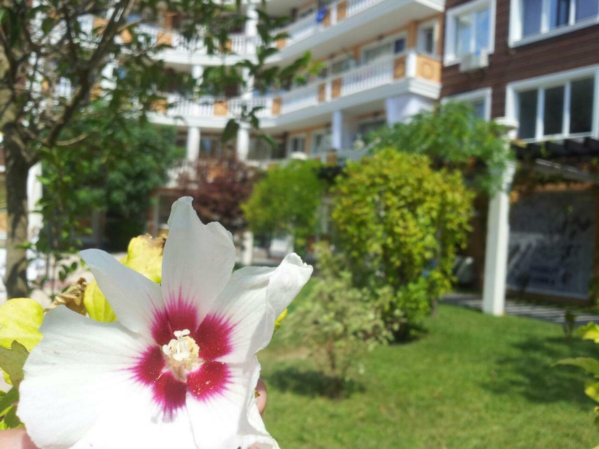 Villa Aria Complex ซันนีบีช ภายนอก รูปภาพ